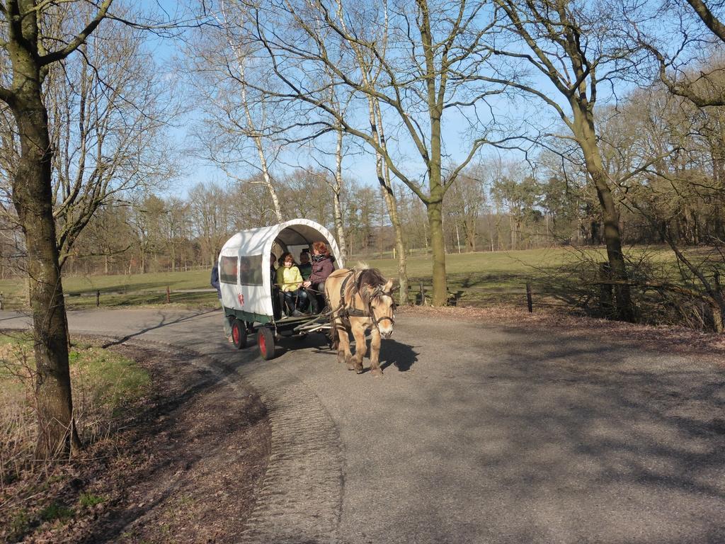Holiday Home Giethmen Buitenkant foto